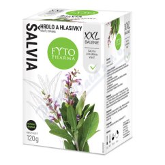 Salvej Hrdlo a hlasivky nat syp.120g Fyt