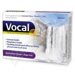 Vocal Pastilky bez cukru Černý ryb. 24ks