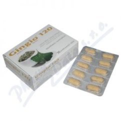 Gingio 120 por.tbl.flm.30x120mg