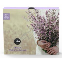 LEROS Dekuji vyber bylinnych caju 6x5sac