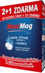 MaxiMag Hořčík+B6 šum.tb.2+1zdar.3x20 tb