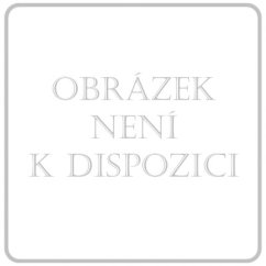 Střík.INJEKT 2-díl.5ml LE červ.BB/100