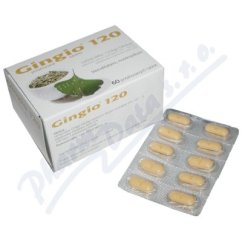 Gingio 120 por.tbl.flm.60x120mg