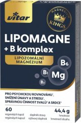Vitar LIPOMAGNE+B komplex cps.60