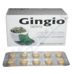 Gingio por.tbl.flm.100x40mg