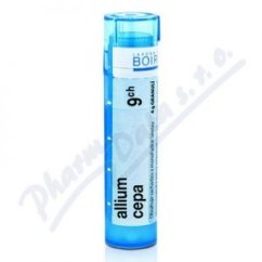 Allium Cepa  CH9 gra.4g