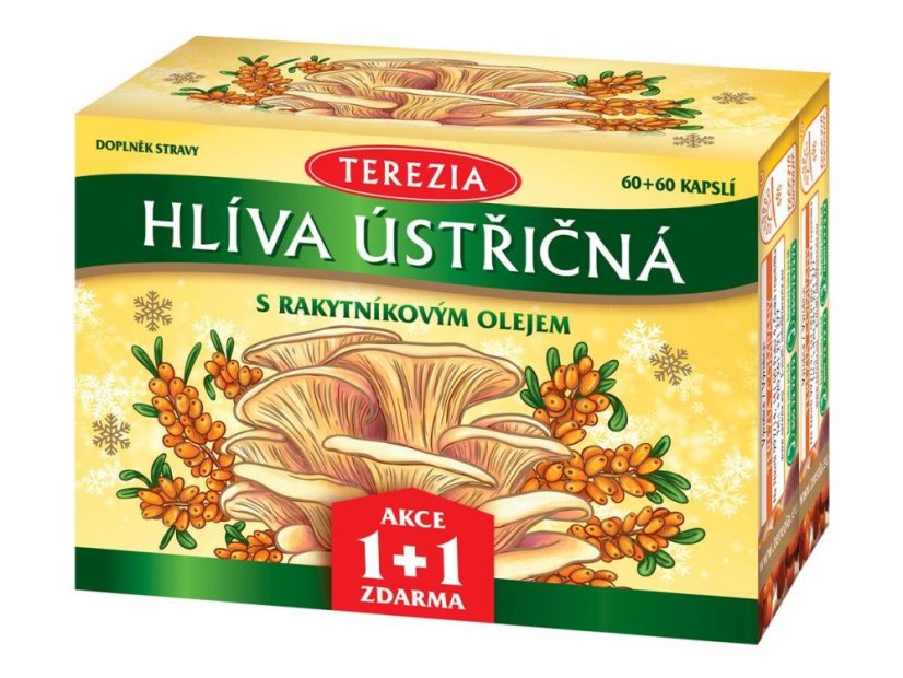 TEREZIA Hliva us.s rakyt.olej.cps.60+60