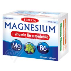 TEREZIA Magnesium+vit.B6+meduňka 120cps.