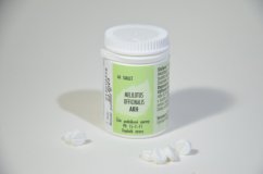 AKH Melilotus officinalis por.tbl.60