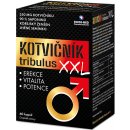 Kotvičník tribulus XXL 60 kapslí Kotvičník tribulus XXL 60 kapslí
